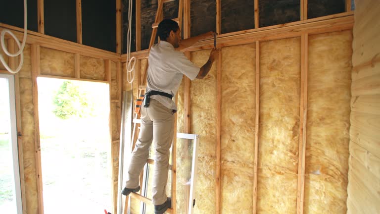 Foam Insulation Services